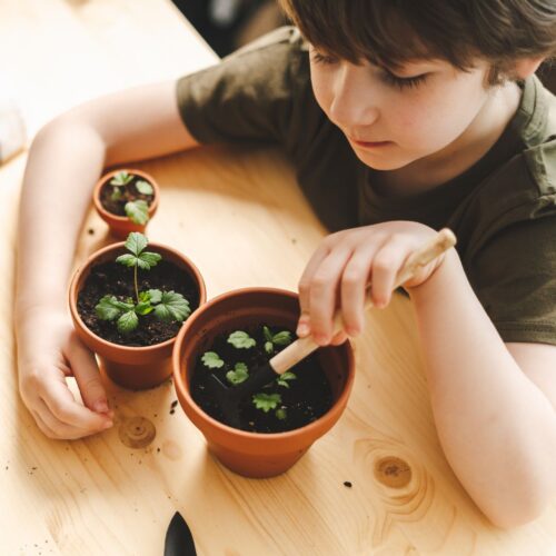 kid gardening
