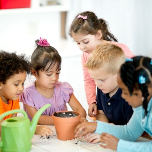 Social Development